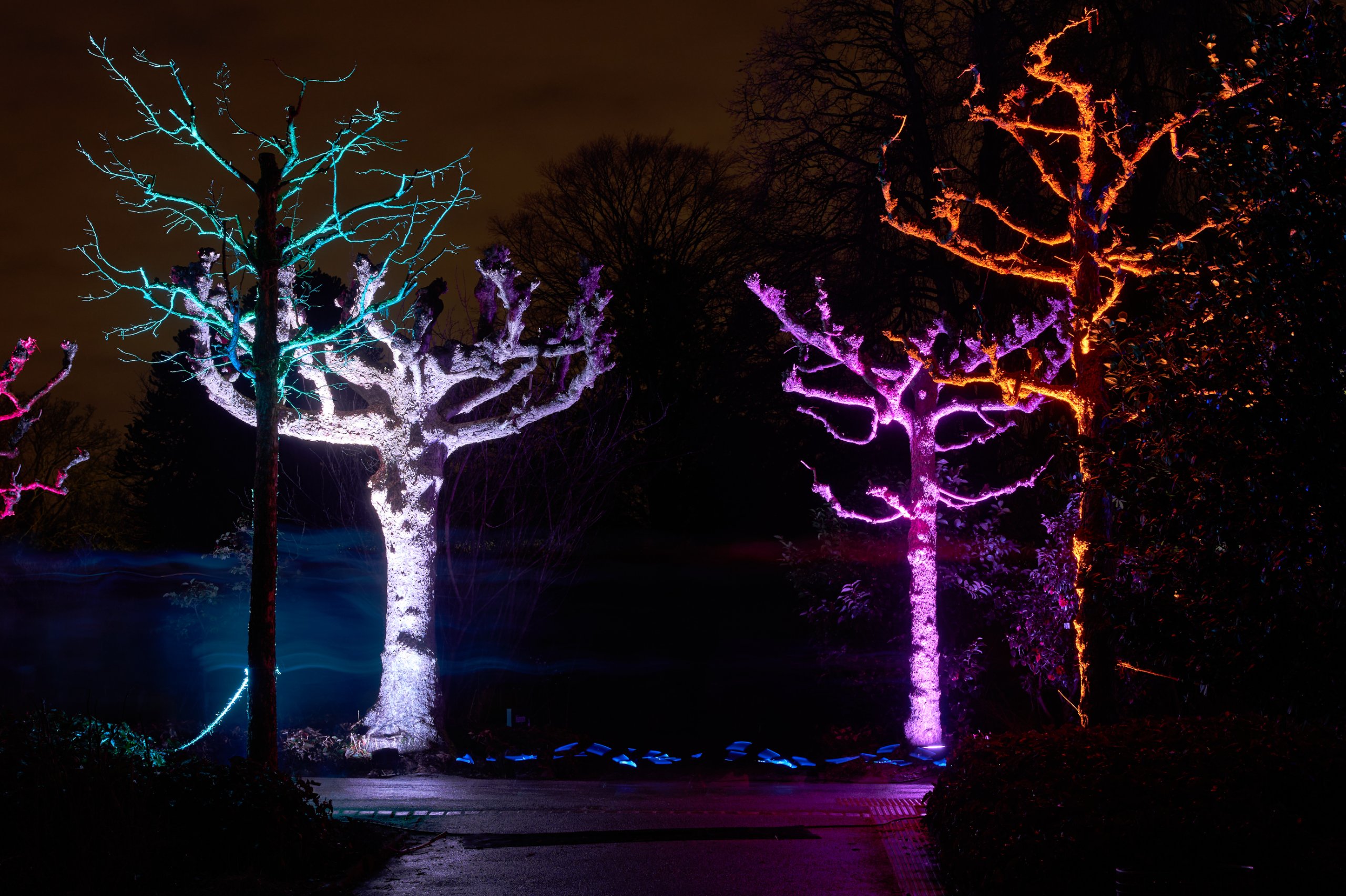 2024 02 23 Parkleuchten 0123